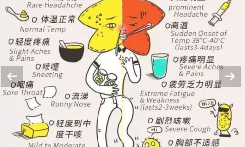 幽门螺杆菌五联用药多久-幽门螺杆菌五联用药网 | 幽门螺杆菌五联用药有什么副作用吗,幽门螺杆菌五联用药一览表