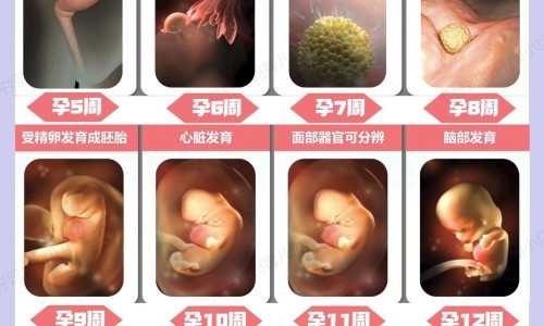 幽门螺杆菌五联用药网 | 幽门螺杆菌五联用药有什么副作用吗,幽门螺杆菌五联用药一览表
